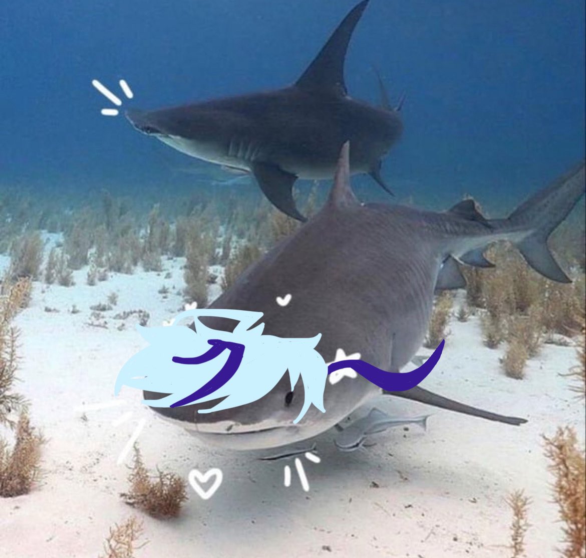 Jello_In_A_Cup's tweet photo. Blade shark!!
He’s so silly-

#NUcarnivalBlade https://t.co/mehTRKji4b
