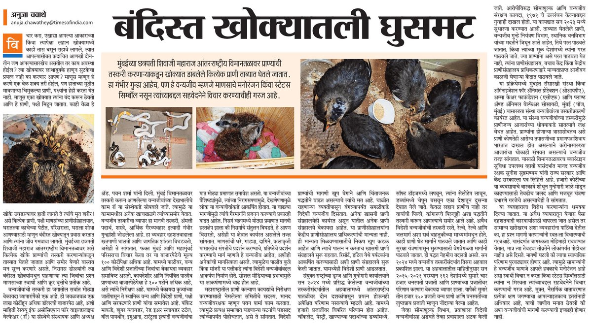 विदेशी वन्यजीव आपल्यापर्यंत कसे पोहोचतात