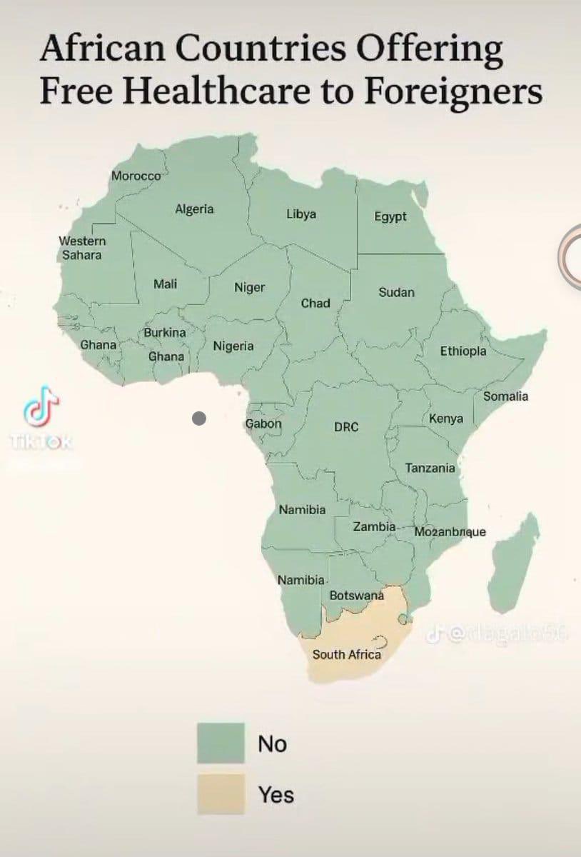 PatrioticMedia1's tweet image. NGO'S WANT DUDULA SHUT DOWN
@KopanangAfrica wants Operation Dudula to be stopped from blocking illegal immigrants from accessing free healthcare in South Africa.