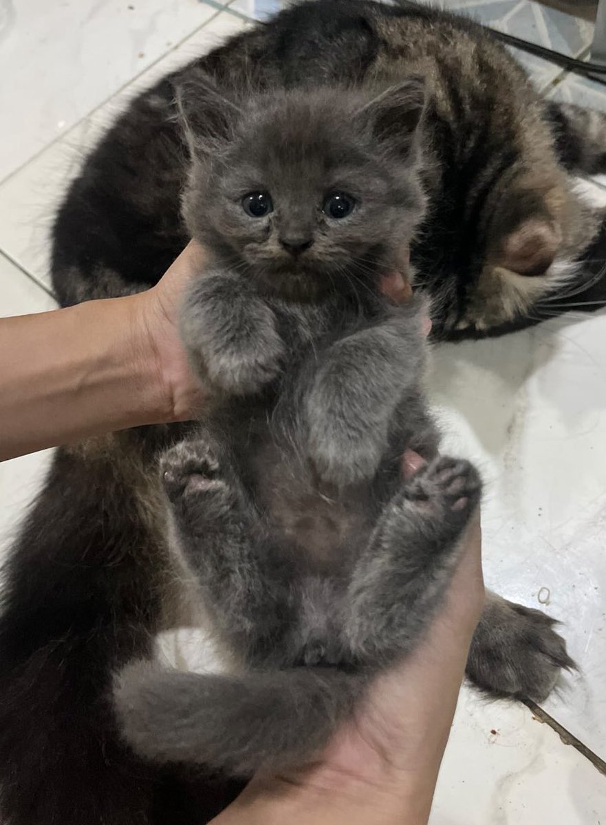 may kahati na concert and travel funds ko 😭