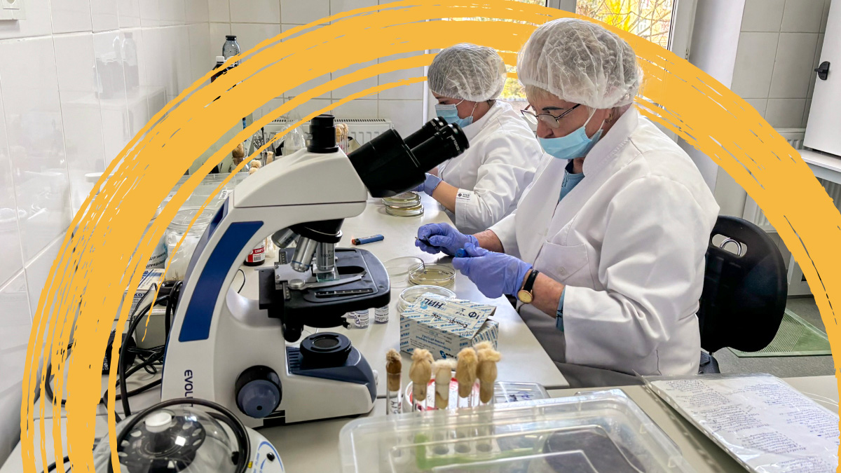 World Bank Health (@wbg_health) on Twitter photo Boosting Ukraine's healthcare system is essential for the country's economic recovery.
See how a <a href="/WorldBank/">World Bank</a> project is modernizing Ukrainian medical laboratories, helping epidemiologist better detect and prevent the spread of infectious diseases: wrld.bg/e9GX50WsagI Boosting Ukraine's healthcare system is essential for the country's economic recovery.
See how a <a href="/WorldBank/">World Bank</a> project is modernizing Ukrainian medical laboratories, helping epidemiologist better detect and prevent the spread of infectious diseases: wrld.bg/e9GX50WsagI