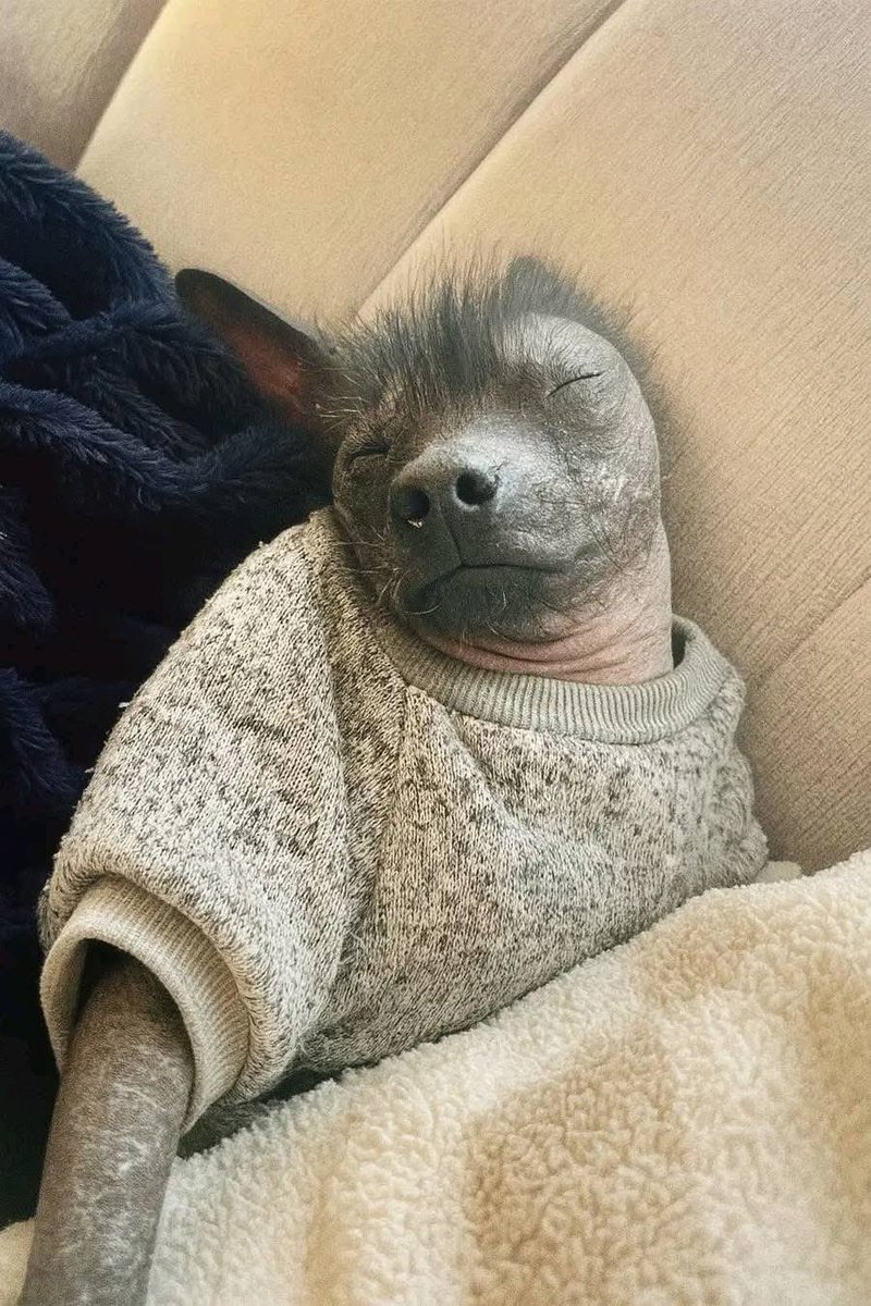 Maletsapa1's tweet image. Your girlfriend sleeping ,after removing her make-up😅