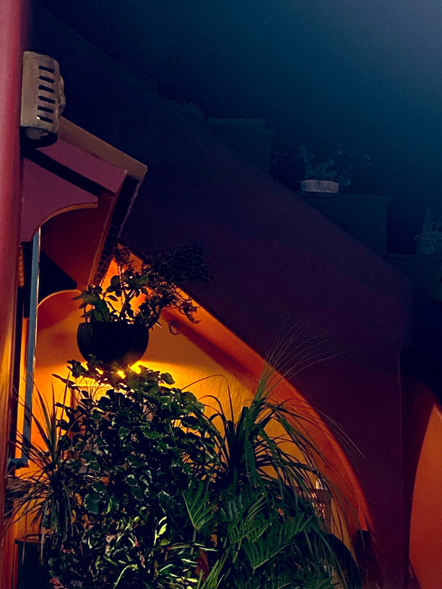 Una noche de lectura