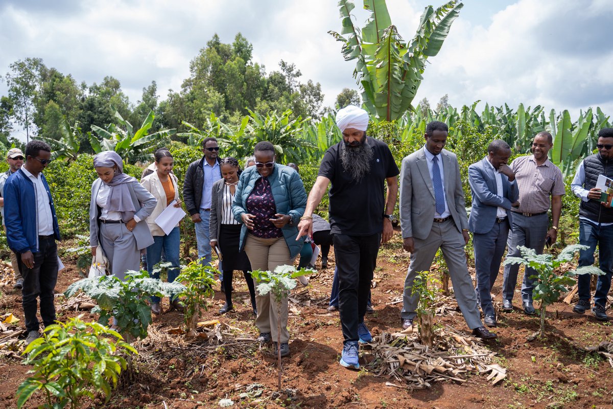 Randeep S. Sarai (@randeepssarai) on Twitter photo 15 million Ethiopians depend on coffee for their livelihood. Working with <a href="/TechnoServe/">TechnoServe</a> we’re supporting gender equality in coffee farming, helping 80,000 farmers to build their capacity, use climate resilient technologies, and export their products to new markets. 15 million Ethiopians depend on coffee for their livelihood. Working with <a href="/TechnoServe/">TechnoServe</a> we’re supporting gender equality in coffee farming, helping 80,000 farmers to build their capacity, use climate resilient technologies, and export their products to new markets.