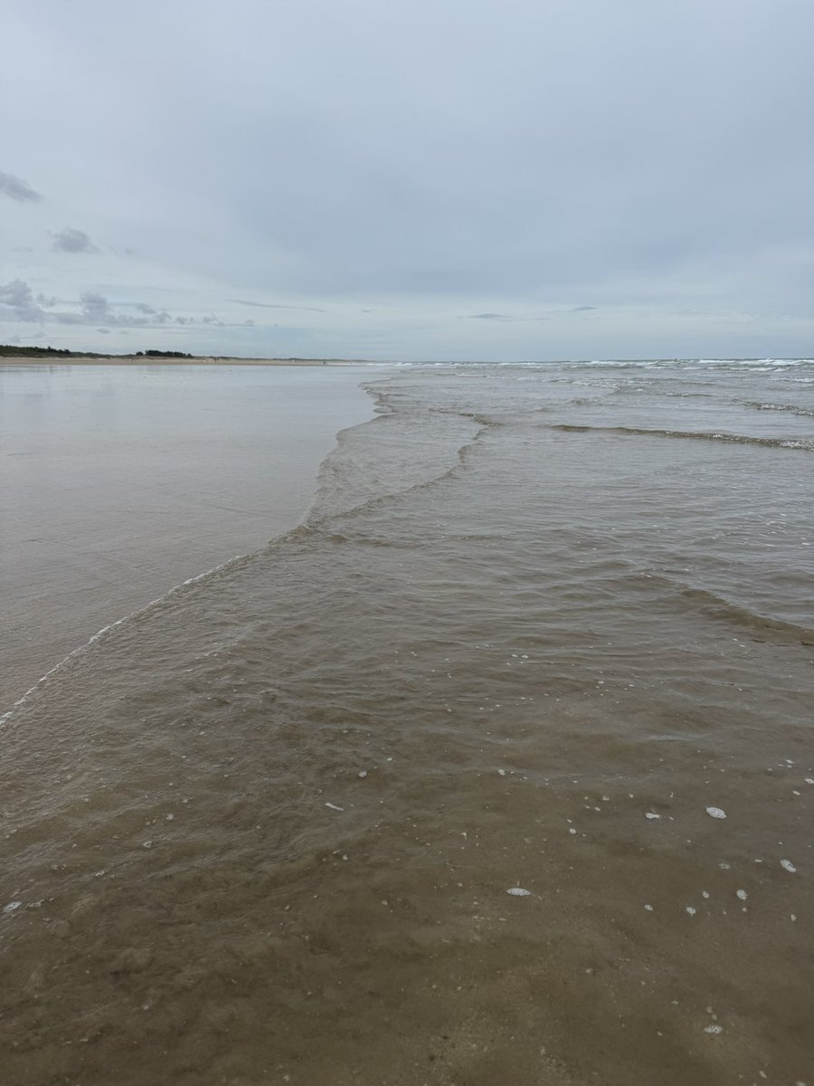 darkzov's tweet image. Journée à #Oleron avec un temps couvert mais une température agréable