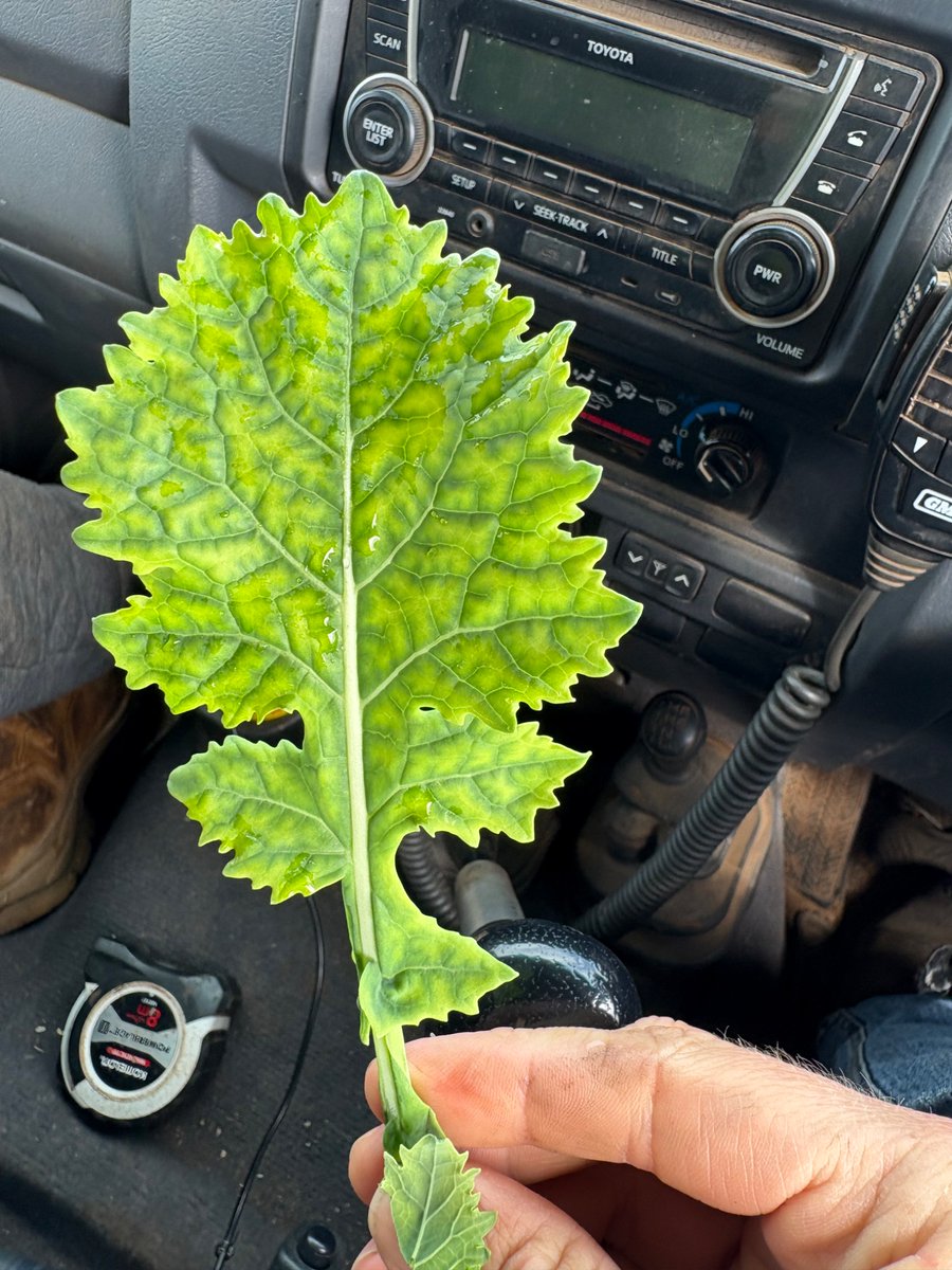 Scott Bowman tweet media