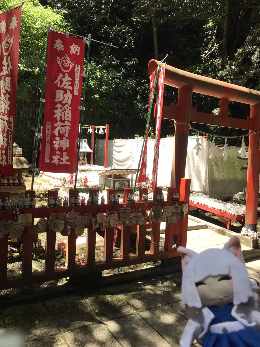 oitn618_TGfan's tweet image. 鎌倉の佐助稲荷神社に来ました。お狐様が沢山いるパワースポットだそうです。中サイズのお狐様に願いを書いて奉納してきました。今日をきっかけの一つとして願いが叶うように努めます。