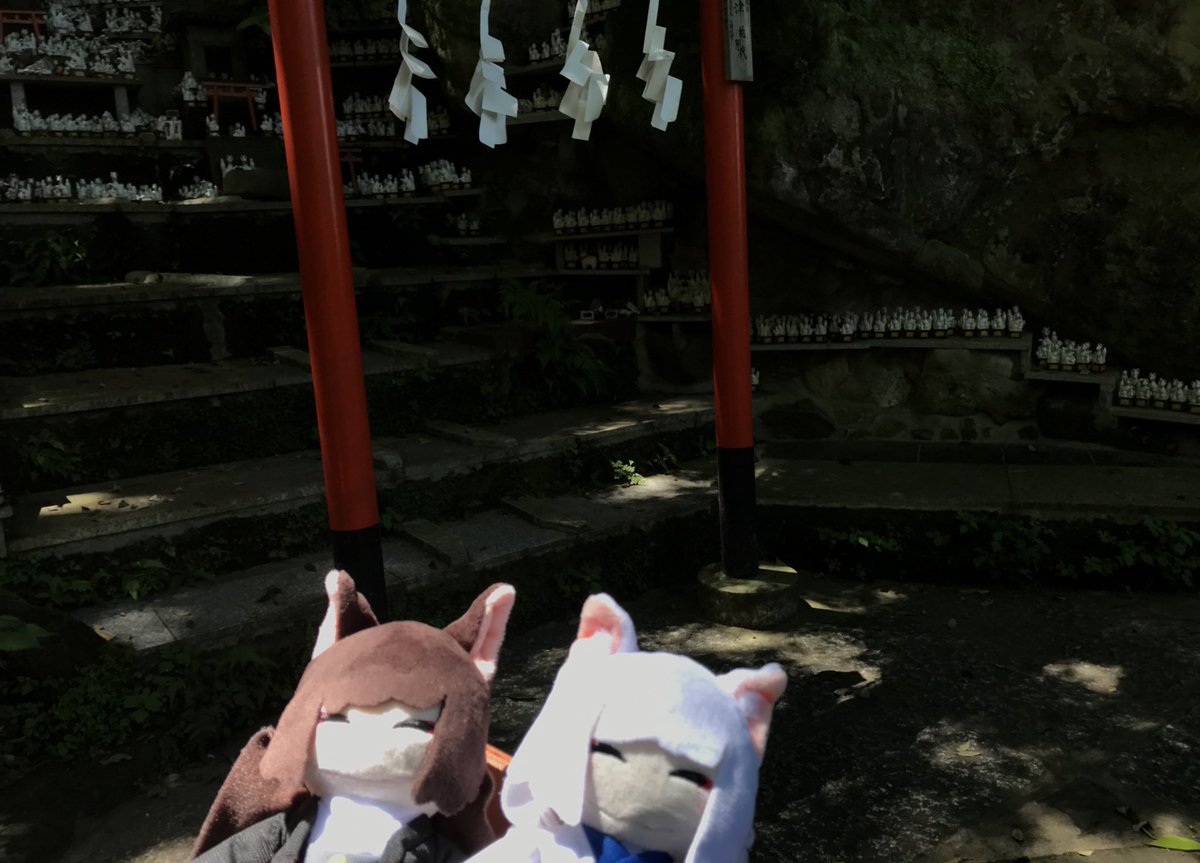 oitn618_TGfan's tweet image. 鎌倉の佐助稲荷神社に来ました。お狐様が沢山いるパワースポットだそうです。中サイズのお狐様に願いを書いて奉納してきました。今日をきっかけの一つとして願いが叶うように努めます。