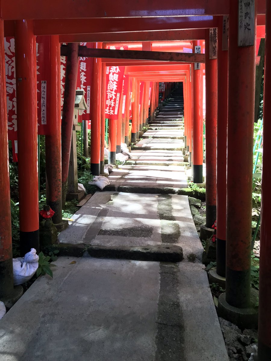 oitn618_TGfan's tweet image. 鎌倉の佐助稲荷神社に来ました。お狐様が沢山いるパワースポットだそうです。中サイズのお狐様に願いを書いて奉納してきました。今日をきっかけの一つとして願いが叶うように努めます。