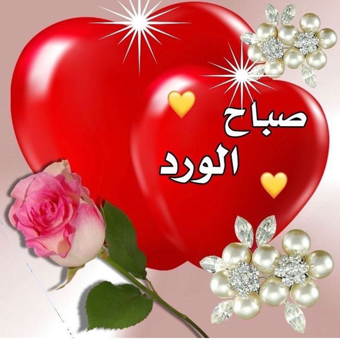 صباح الفل والورد والياسمين على احلا متابعين