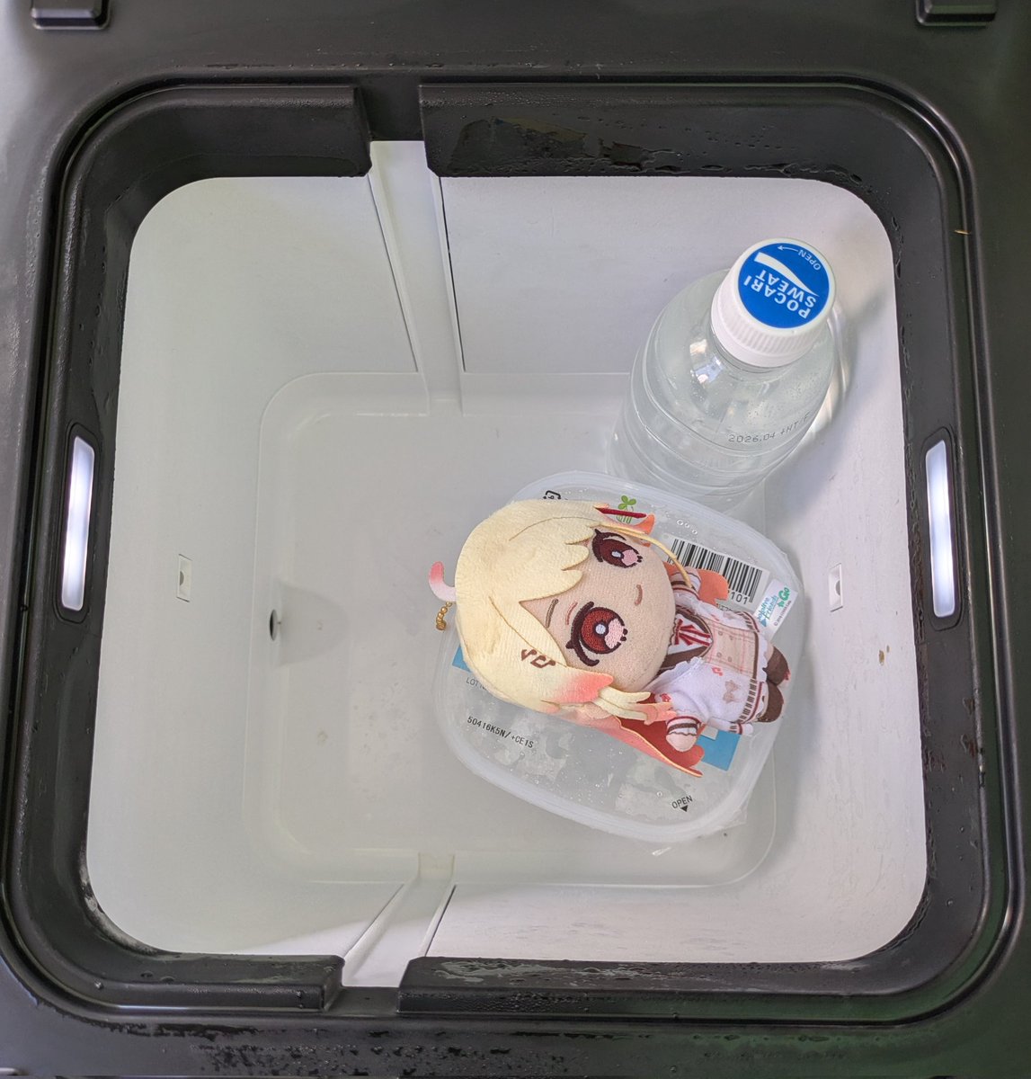 これは−7℃の冷凍室で涼んでいるかなでぃ
#ねぽらぼらとりー