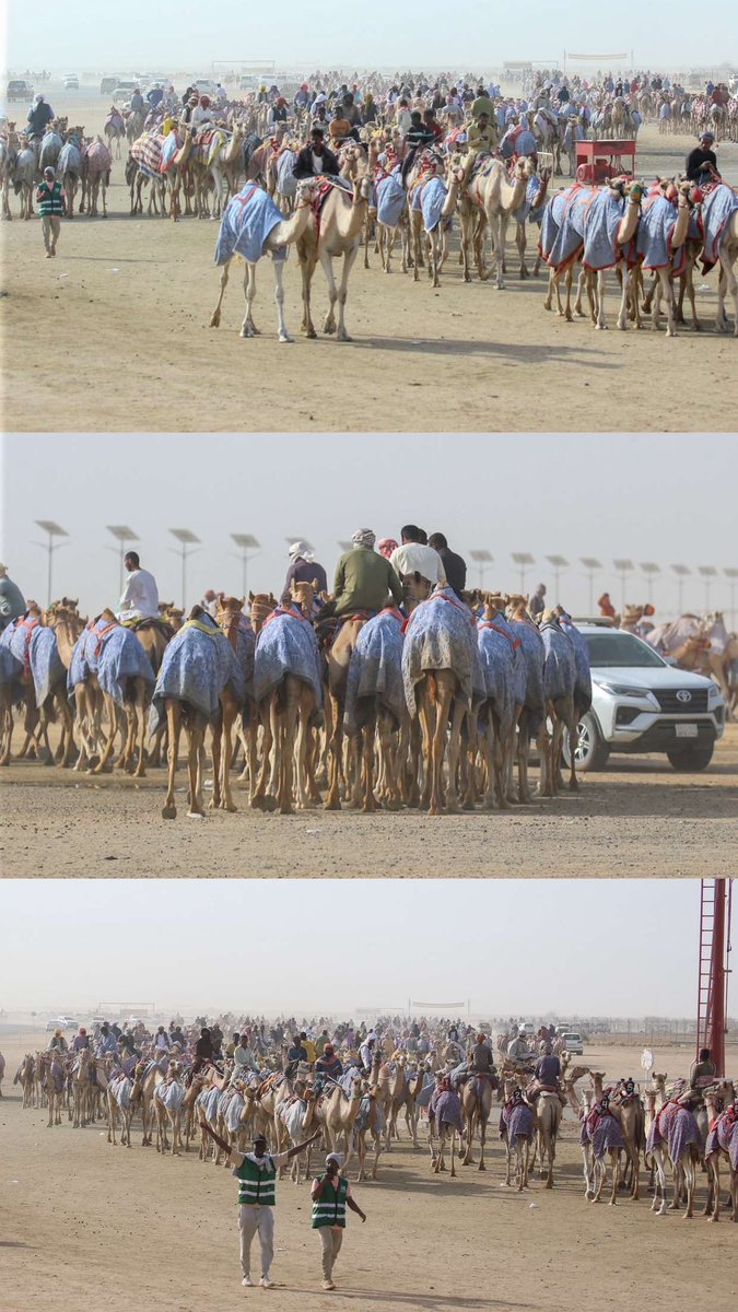 هنا #الطائف .. أو كما قيل " عروس المصايف " وبالتحديد من #ميدان_الطائف_للهجن حيث تتوافد الهجن من كل ميادين #الهجن في المملكة ودول مجلس التعاون الخليجي والدول العربية ، إستعداداً  للمشاركة في الحدث الأبرز والأضخم منذ ظهوره الاول في 2018 .
أهلاً بالجميع في #السعودية 🇸🇦