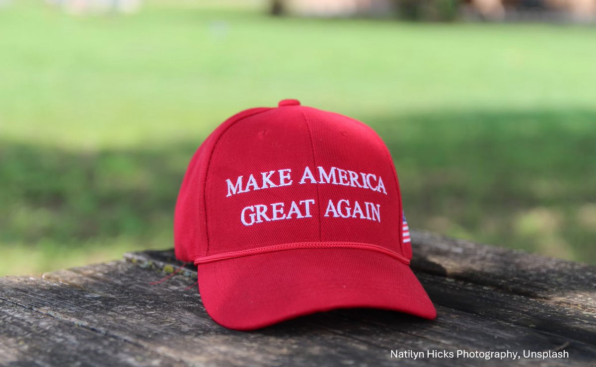 wirtschaftfreih's tweet image. Trumponomics (7)
Donald Trumps „Geschäftsmodell“
Zölle, Nutzergebühren, Schutzgelder
von Norbert Berthold (JMU, 2025)
wirtschaftlichefreiheit.de/wordpress/?p=4…