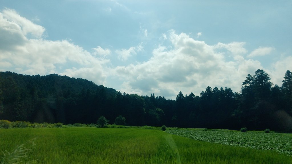 自然豊か😌