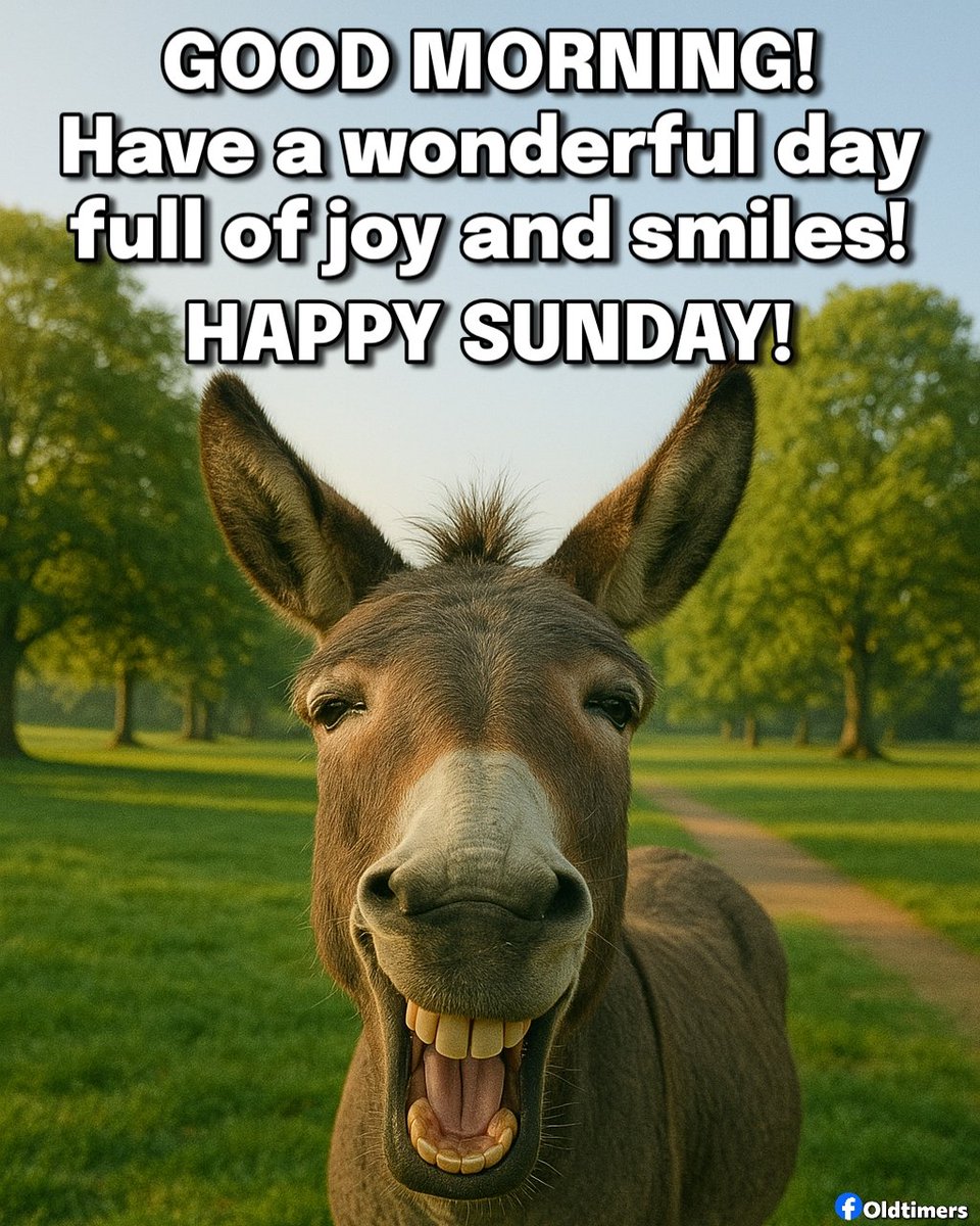 Oldtimers (@oldtimers365) on Twitter photo 