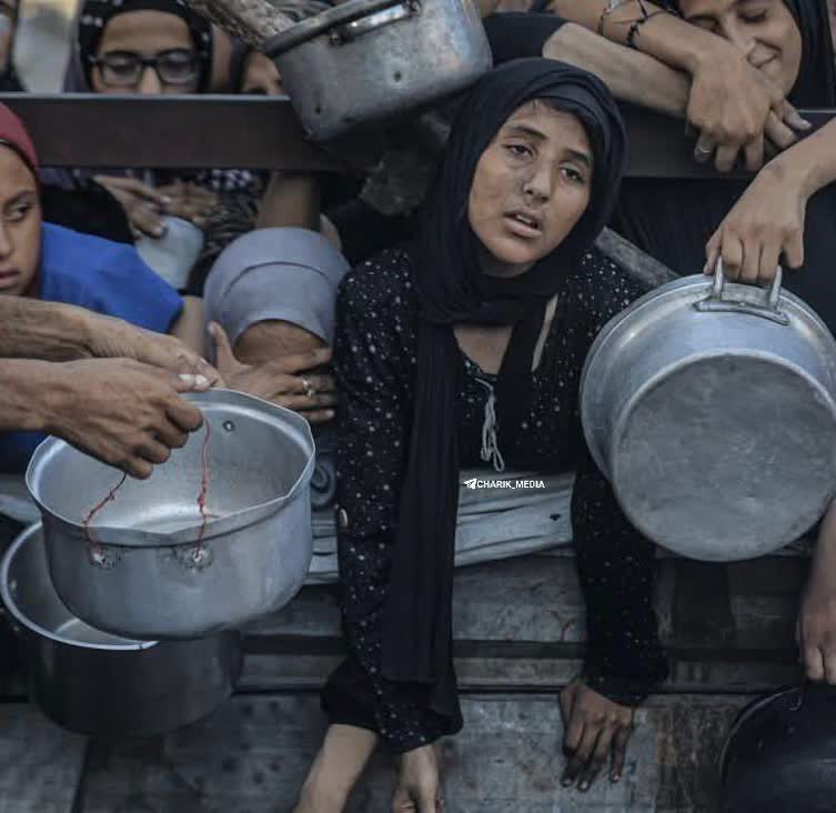 pouyan2025's tweet image. دو میلیارد مسلمان در حال تماشای مرگ اهالی غزه بر اثر گرسنگی هستیم!💔