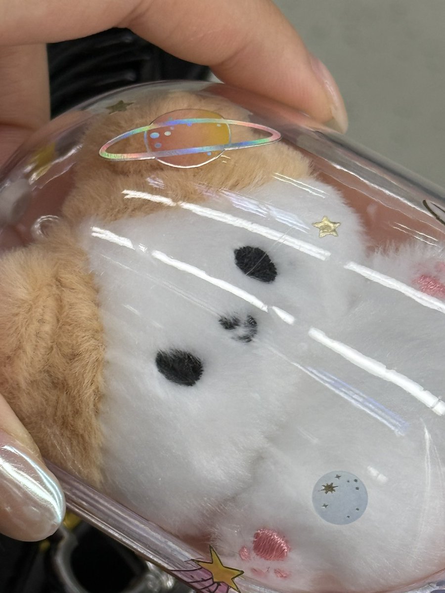 쩡토리 너무너무 귀여워요💚
바로 스꾸해서 가방에 달기🐶
초롱 쩡토리도 얼른 와라💨✌️