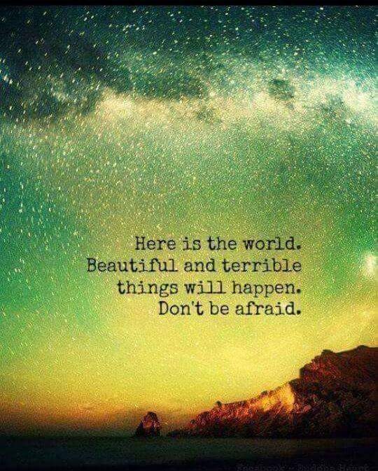 ÅñD£R§🏴‍☠️🧡 (@0utlawbbk) on Twitter photo 