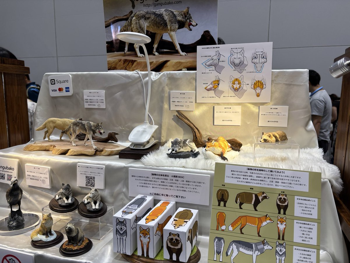 bd85g3's tweet image. ほんこち初博物フェス🐺
見所沢山🥰
伏見先生　＠FushimiAka 
樹山先生　＠kiyama_tb 
の所へ💫