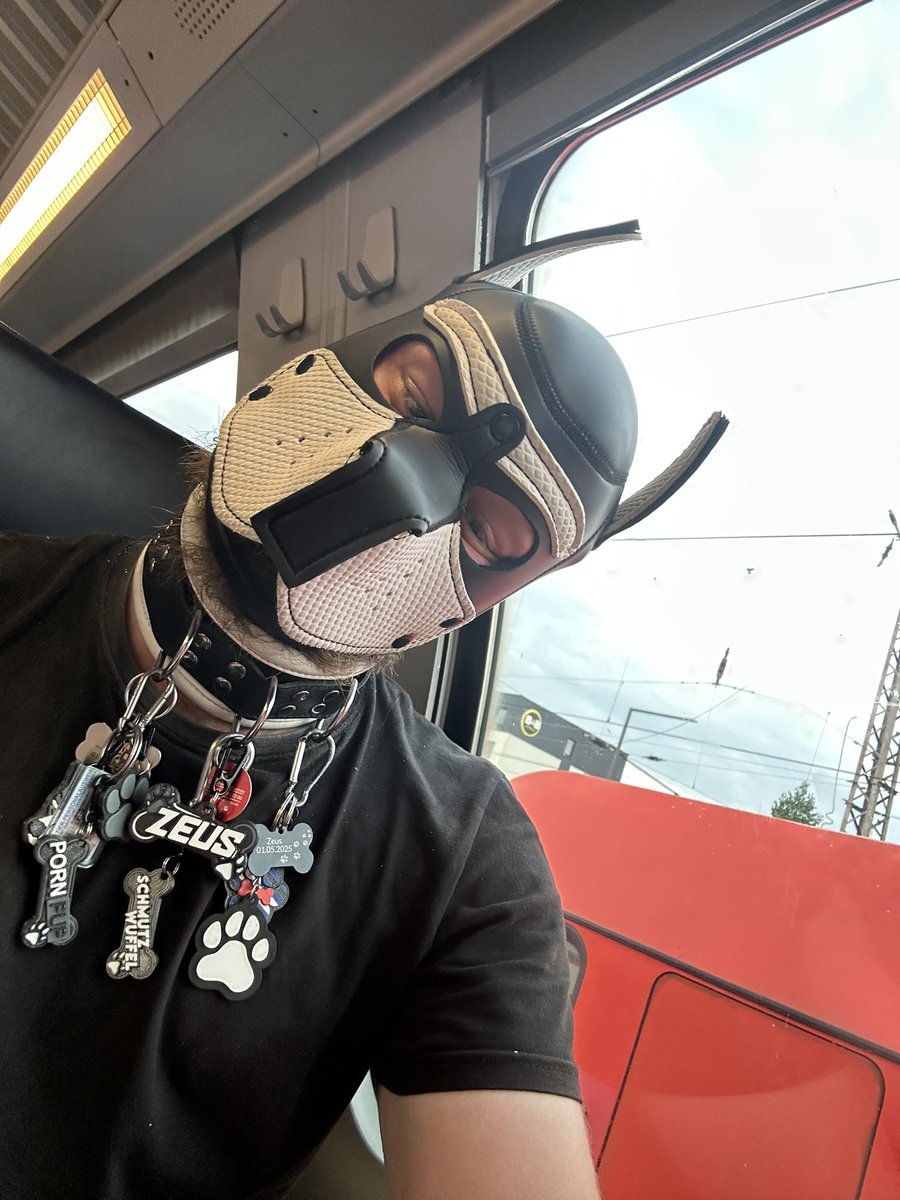 Welpe_Zeus's tweet photo. Teil 2 von zuhause nach Bonn bis nach Bremen 🤗 https://t.co/HP5soVWWvt