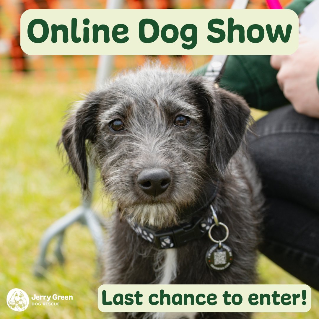 Entries close TONIGHT at 9pm! 📸🐶

Don’t miss your chance to show off your pup in our Online Dog Show, and help support the rescue dogs in our care. 💚

jerrygreendogs.org.uk/online-dog-sho…

Winners will be announced tomorrow, so keep your eyes peeled to see who steals the show. ⭐