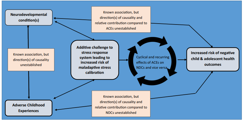 Maltreated children are nearly 10x more likely to exhibit symptoms of three or more neurodevelopmental conditions.

Yet trauma is often prioritised in assessments, while underlying neurodevelopmental traits remain undetected.

Find out how Adverse Childhood Experiences (ACEs) and