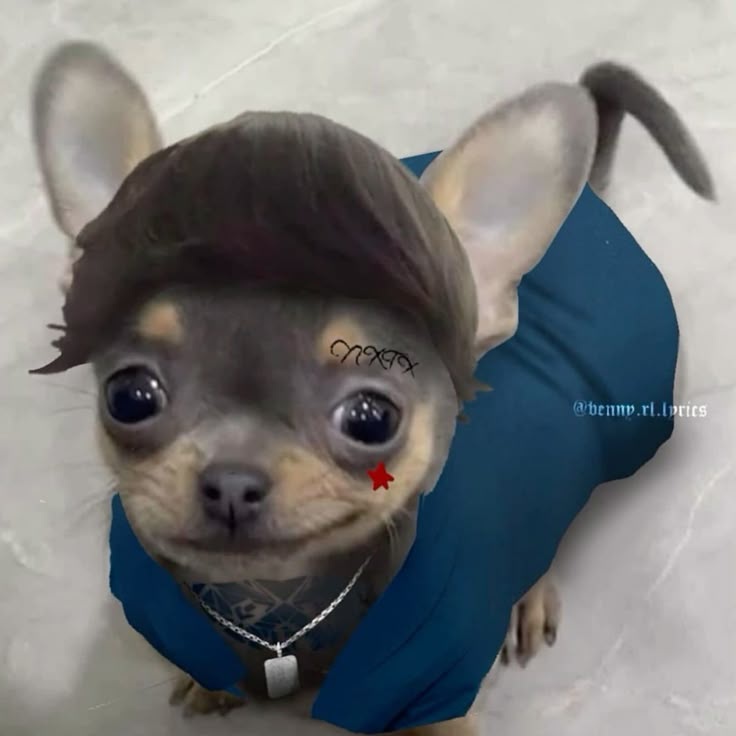 DillyDally tweet media