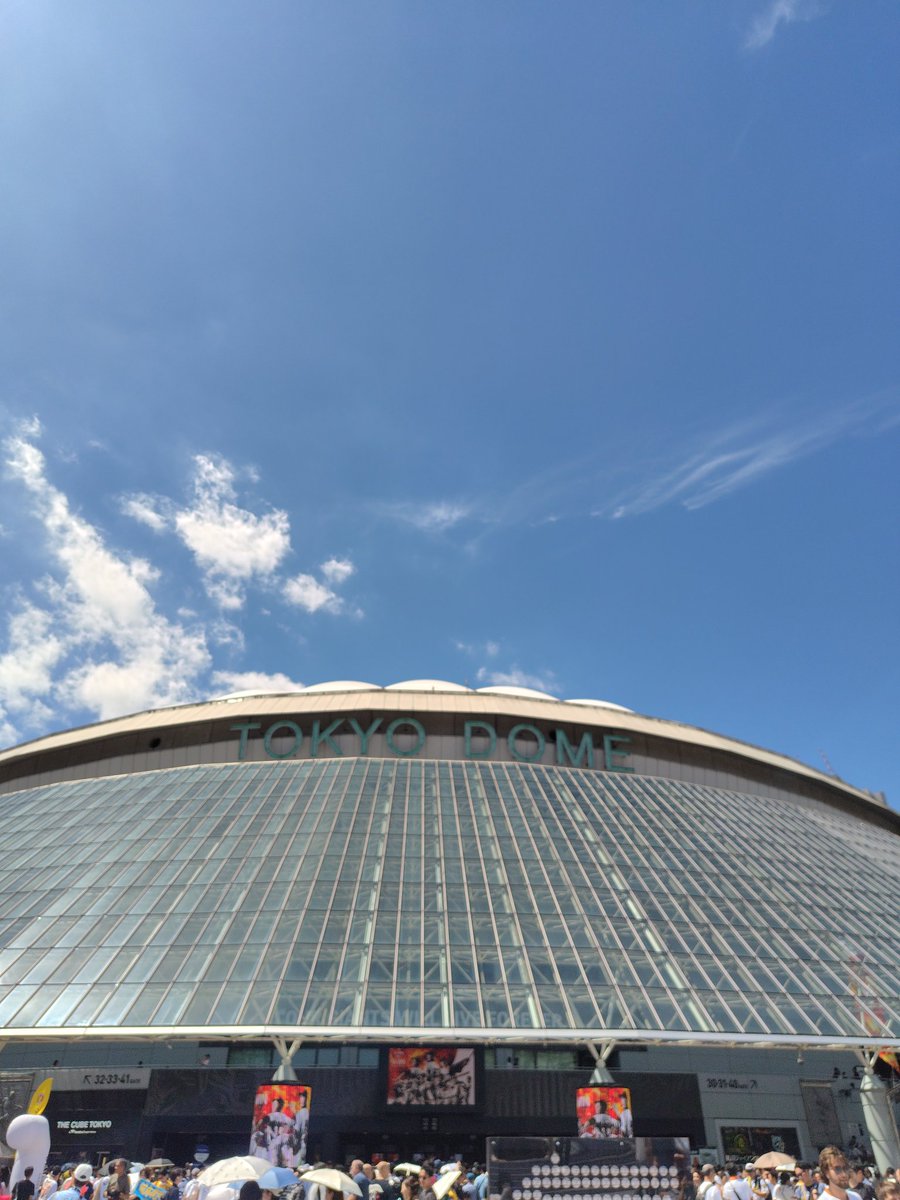 tech_nekotter's tweet image. 阪神に勝てない