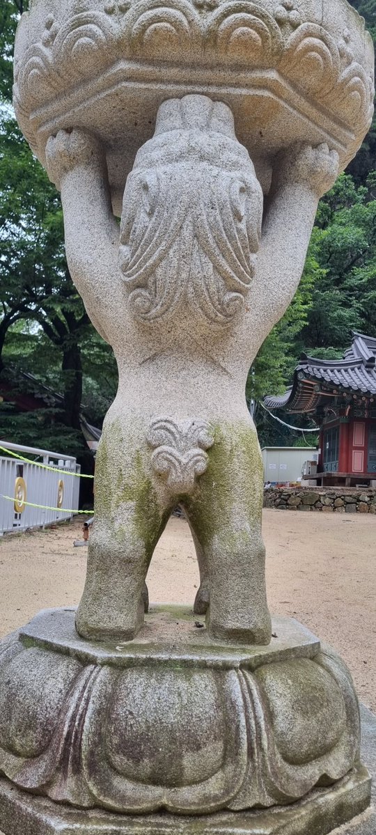 Eulji612's tweet image. 엉덩이가 귀엽네 ㅋ