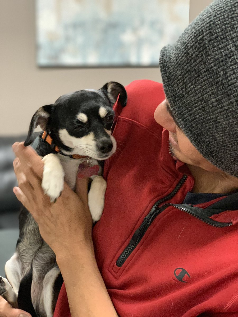 NimbusD82's tweet image. Happy Birthday, LeeLoo! 🐶
You’re getting up there in years, but you’re still my baby girl.
Love you with all my heart ❤️💜💕
#Leeloominai #5thElement #Love #ForeverPuppyEyes