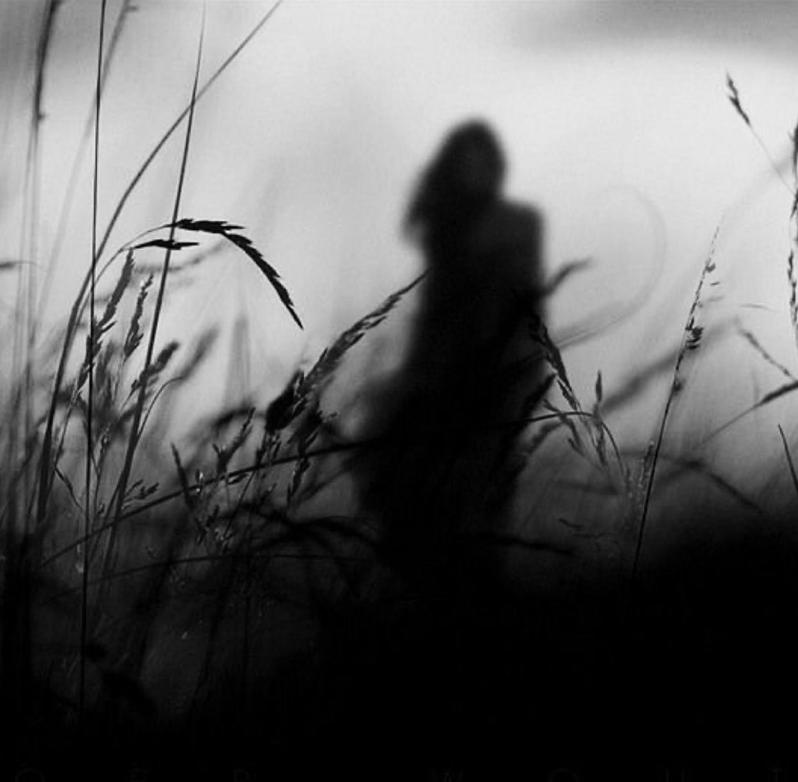 elenamente3's tweet image. 