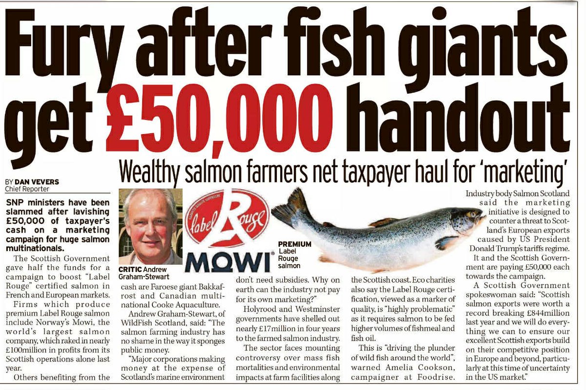 TheGAAIA's tweet image. 'The salmon farming industry has no shame in the way it sponges public money' say @WildFishCons @Daily_Record 'Major corporations making money at the expense of Scotland's marine environment don't need subsidies' @theSNP @scotgov @MowiScotlandLtd @ScotlandSalmon @tavishscott