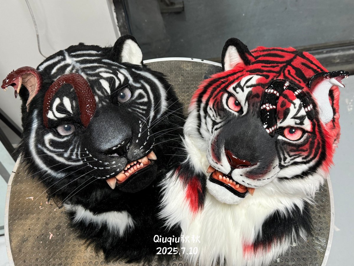 SHAN_JUN_'s tweet image. Hello everyone, this is an adoption message, ✂️produced by : @Qiuqiu1290. The adoption price is $2000/piece, not including handling fees and international shipping. The size (vertical height from chin to top of head) is 26cm.
#fursuitforadopt #Fursuit #furry #Tiger