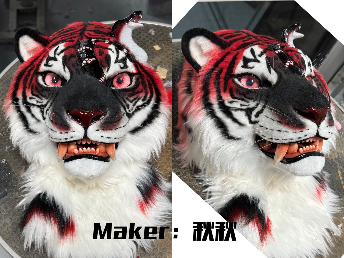SHAN_JUN_'s tweet image. Hello everyone, this is an adoption message, ✂️produced by : @Qiuqiu1290. The adoption price is $2000/piece, not including handling fees and international shipping. The size (vertical height from chin to top of head) is 26cm.
#fursuitforadopt #Fursuit #furry #Tiger
