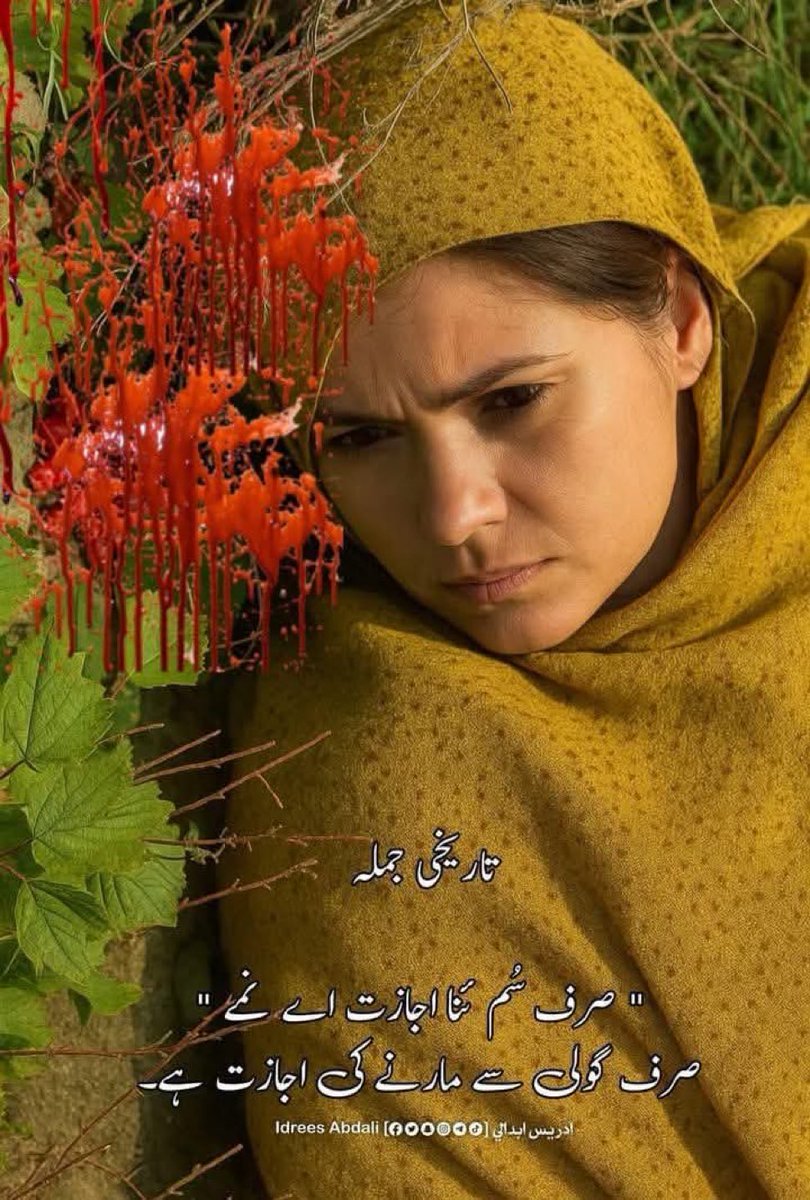 اتنا ظلم اور پھر سے بلوچ کے سینے پر گولیاں۔اپنی بیٹی کو کون بُزدل مارتا ہے۔وہ بہادران الفاظ میں صفائیاں دیتی اس ظالم دُنیا سے چلی گئی:
زِنا نہی نکاح کیا ہے۔
اللہ کی زمین بہت بڑی ہے اُس پر اس معصوم کو رہنے کا بھی اُتنا ہی حق تھاجتنا ہم سب کو۔