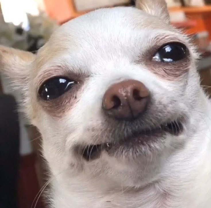 Ich, nachdem ich zur allgemeinen Erheiterung im Sneaker Store nach Schuhgröße 48.5 gefragt hab