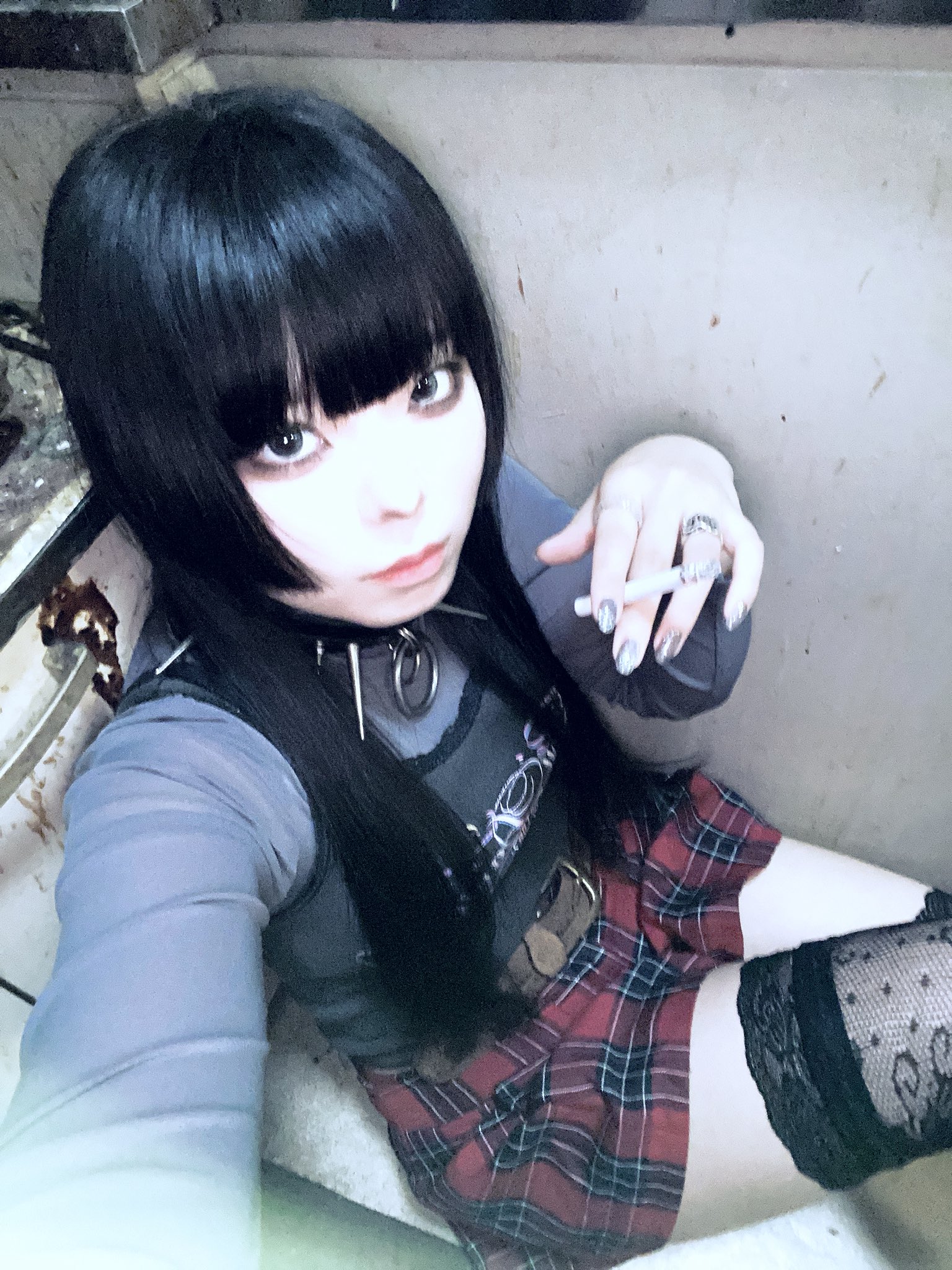ねこ🐈‍⬛【なでしこ、堅香子】 on X: 
