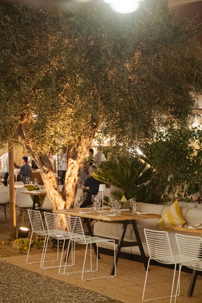 Where elegance meets evening — 𝗛𝗼𝘀𝗽𝗶𝘁𝗮𝗹𝗶𝘁𝘆 𝗯𝘆 𝗻𝗶𝗴𝗵𝘁 ✨

#hopmancup #weareinpuglia