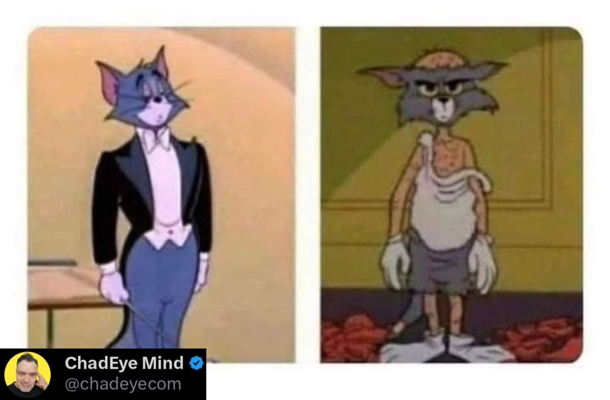 chadeyecom's tweet image. Good Morning ! 🤖🤳
Same meme, different captions!
Day 43/365 #ai #llm #vibecoder
Claude Code User Cursor User