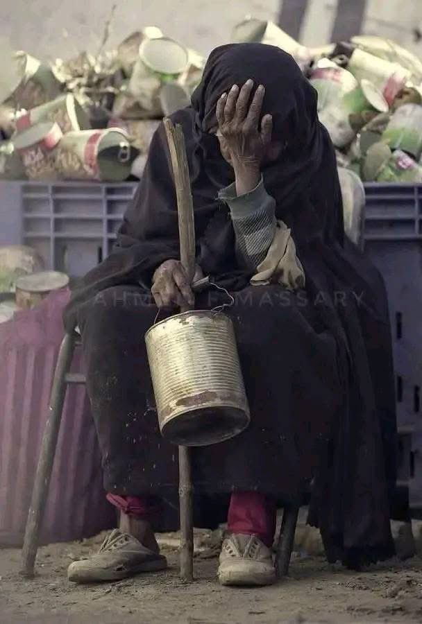 Anti_CRev_tion's tweet image. در غزه فاجعه در حال رخ دادن است
دیگر هیچ غذایی نیست
اگر خداوند عذابی سخت بر تمام بشریت وارد کند جای تعجب ندارد
#غزة