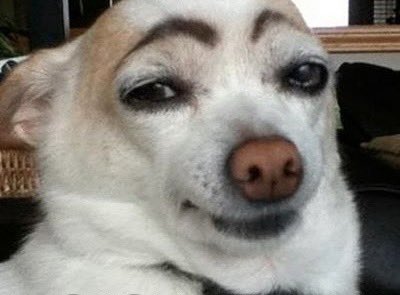 „Und wo genau haben sie von unserem Nagelstudio erfahren?“