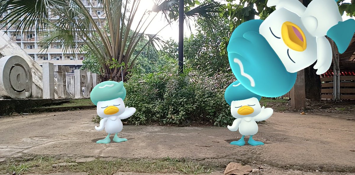 A_New_Creature's tweet photo. π§
No one quite does it like the #Quaxly family!
#PhotograFridays #NoFilterFridays #Pokemon #PokemonGO #PokemonGoSnapShot #GOsnapshot #AshKWeekly #ZTDnews #GoHubAR #PhotograFeresk https://t.co/l1h3wmXlMV