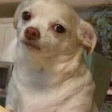 Wenn mich am Sonntag wer fragt ob wir nochmal „ein paar Schritte vor die Tür wollen“