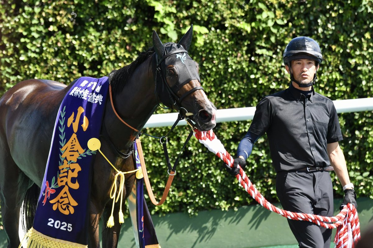 手羽先 tweet media