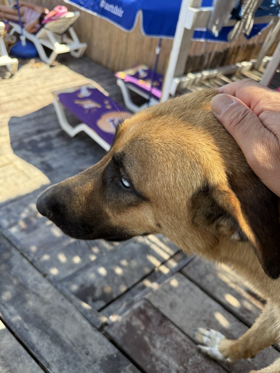 AhmetIfran (@alfmet1) on Twitter photo 