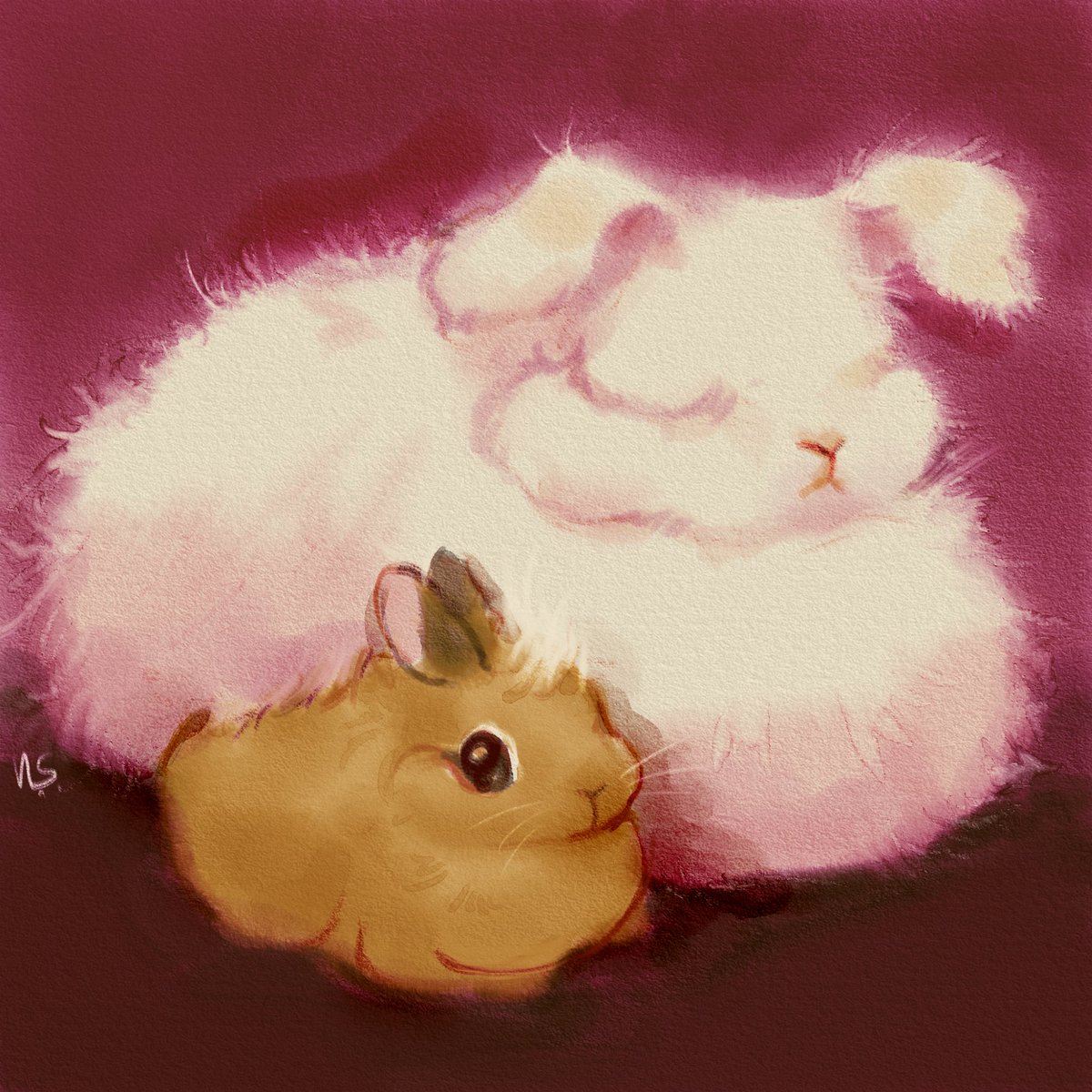 nightmareSyrup's tweet image. I gave no idea how big Angora rabbits get.