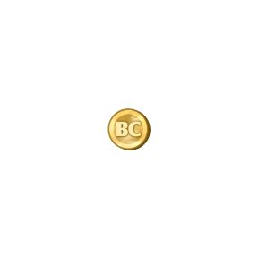 Bitcoin est au mieux une icône, pas une idole.