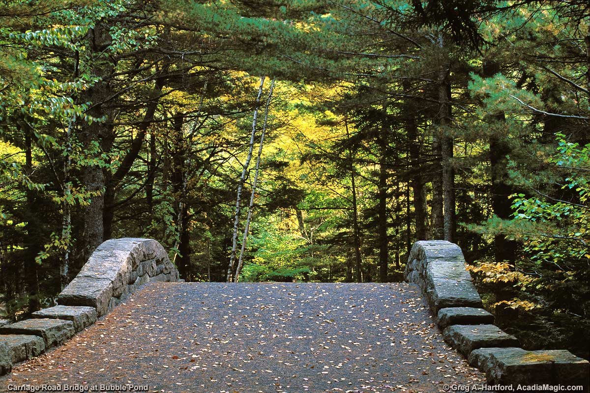 Robel_422's tweet image. Good morning from Maine everyone. Have a peaceful Sunday. ๐ป๐ฆโต๐ฒโ๏ธ