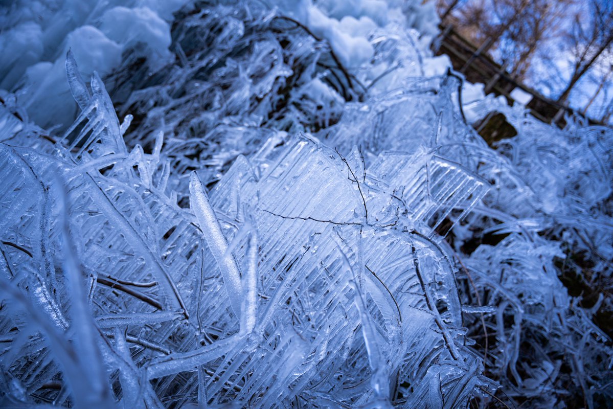 Hazuki_camera's tweet image. #photography 
#キリトリセカイ 
#写真好きな人と繋がりたい 
#ファインダーの越しの私の世界 
#東京カメラ部