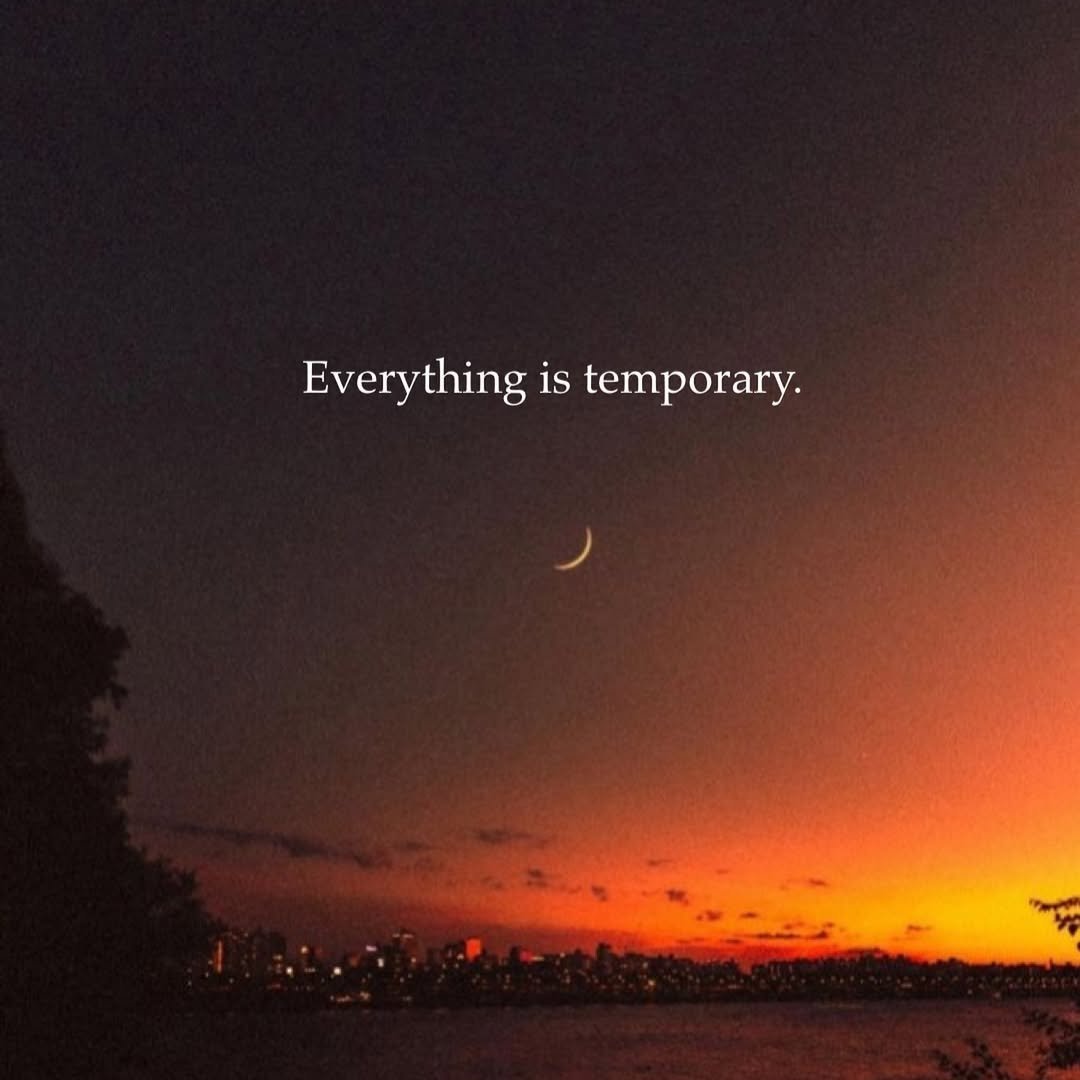 TheBetterPath tweet media